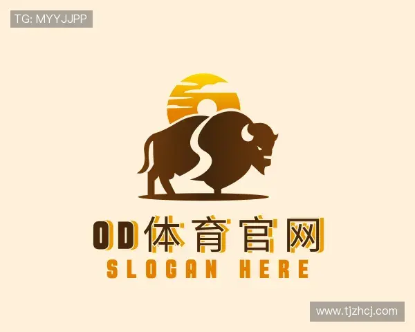 解读OD体育官网